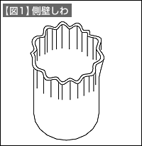 【図1】側壁しわ