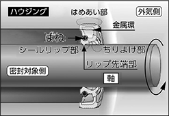 密封対象側はシールリップ部のリップ先端部で漏れを防いでいます。