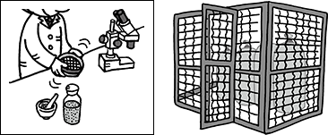 金網 用途