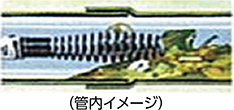 オーガータイプ