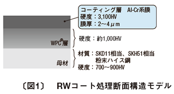 図1 RWコート処理断面構造モデル